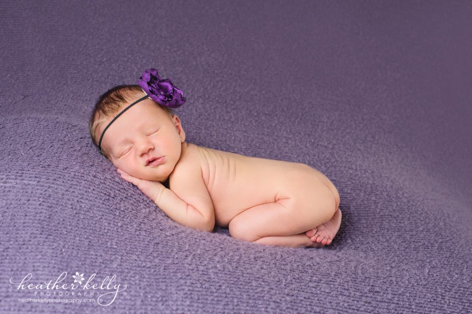 newtown infant photographer newborn photographer in connecticut heather kelly photography