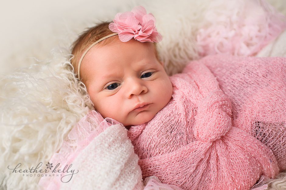 darien newborn photography ct newborn photographer