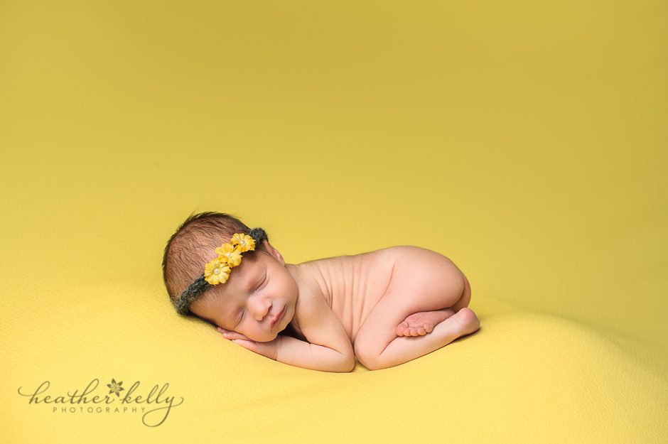 fairfield newborn photography ct newborn photographer