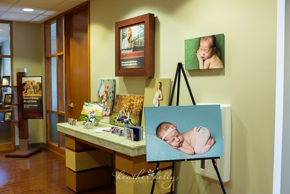 brookfield newtown savings bank business of the month ct newborn photographer