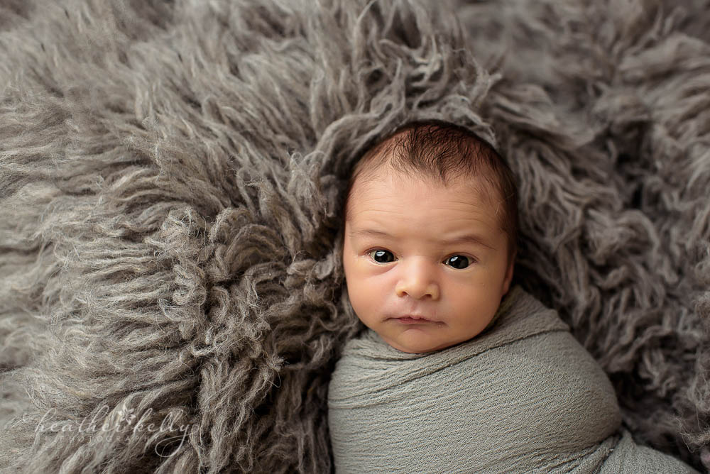 gray flokati and newborn boy wrapped in gray photo fairfield newborn ct