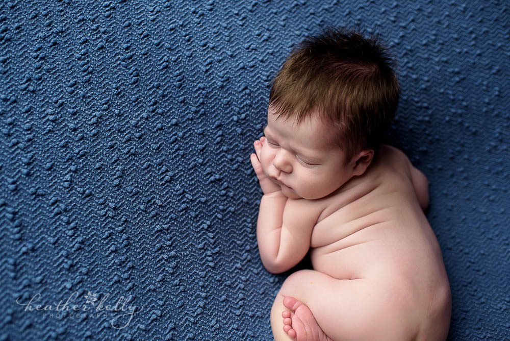 curled up newborn boy on blue blanket shelton newborn photos