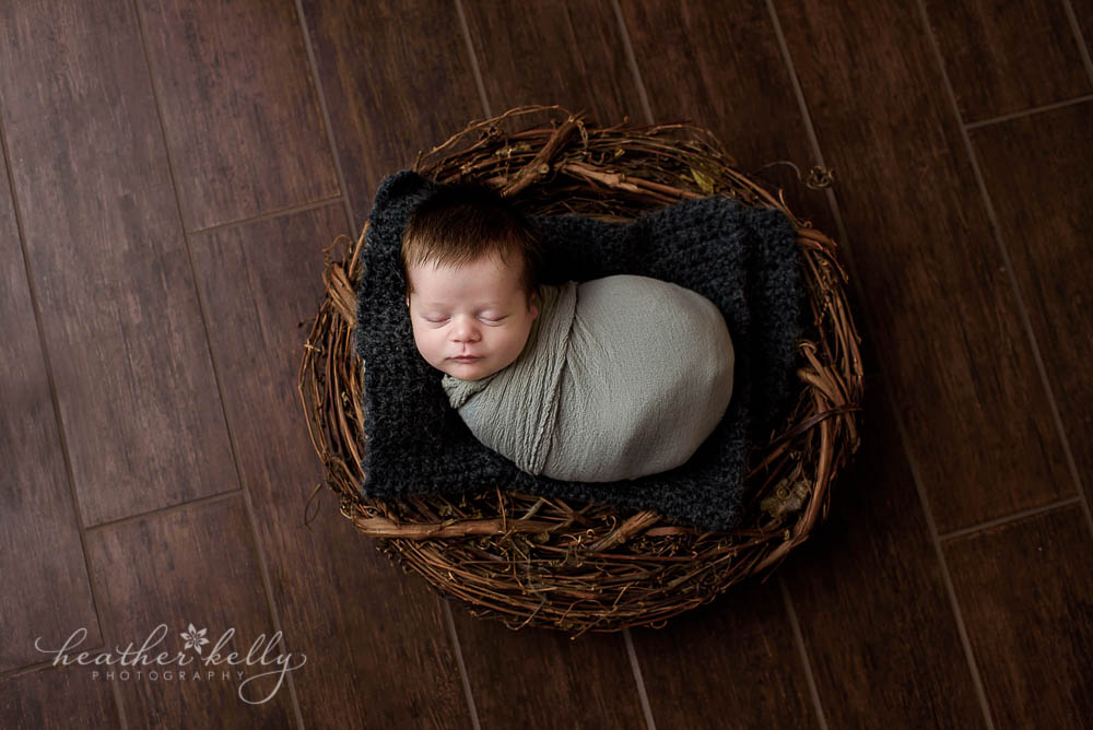 newborn photography baby in nest shelton ct newborn photos