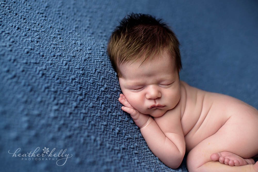 newborn photography pose shelton ct newborn photos