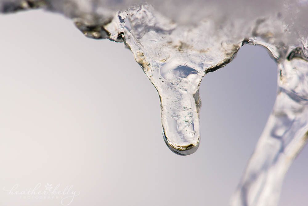 close up macro photo of icicle the beauty of winter