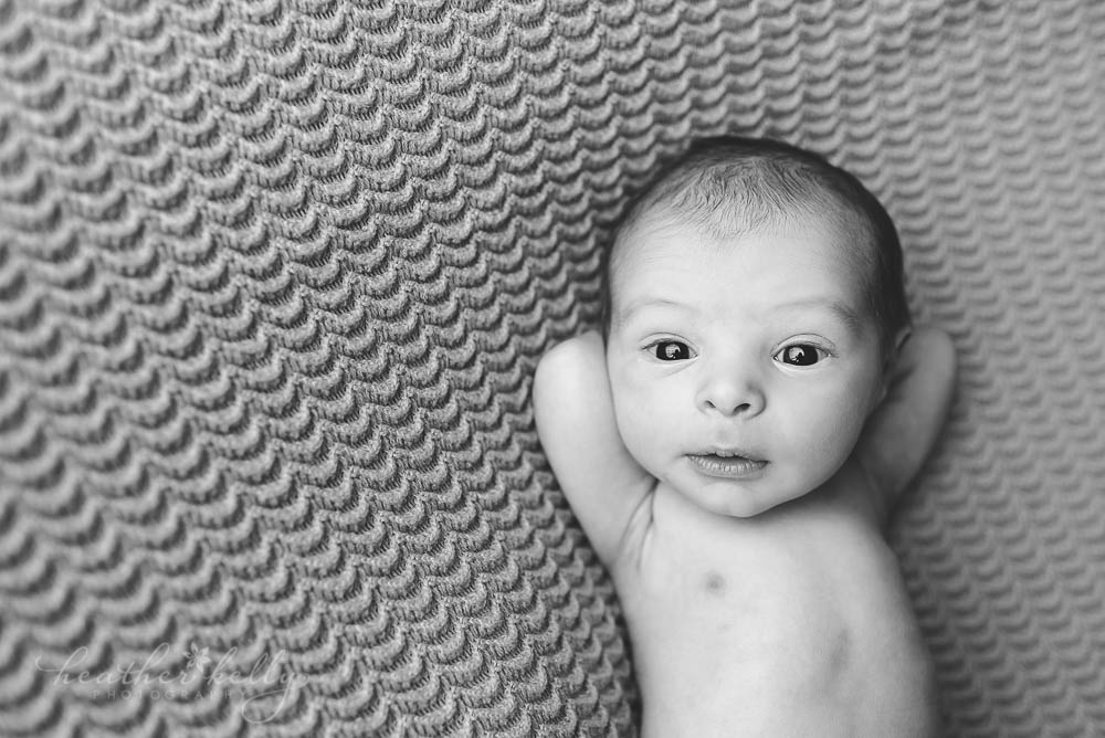 black and white image of newborn boy awake and relaxing. ct newborn photographers