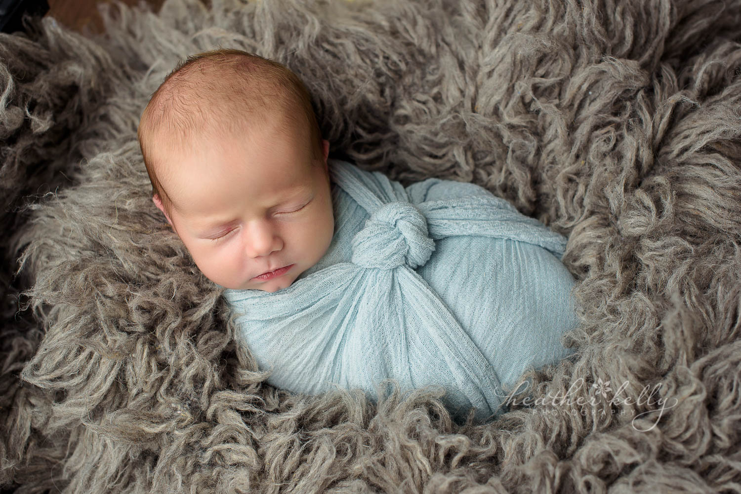 gray flokati and blue knot wrap shelton newborn photographer