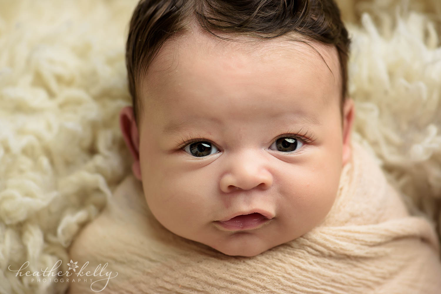awake baby boy at 6 1/2 weeks danbury newborn portraits