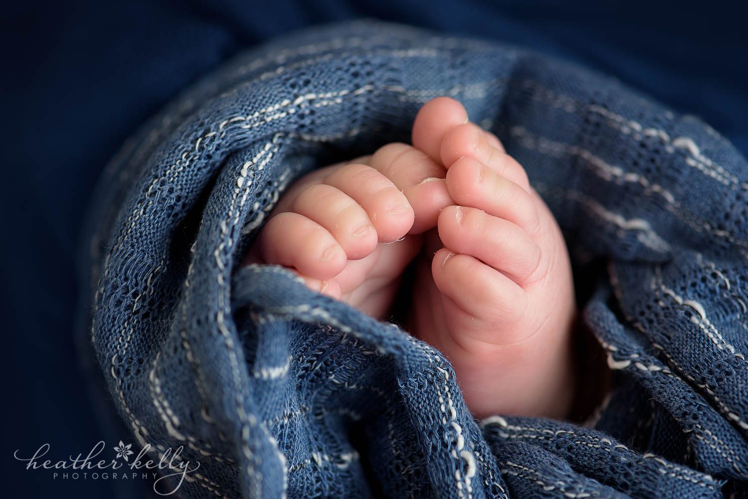 macro photography baby toes. danbury newborn portraits