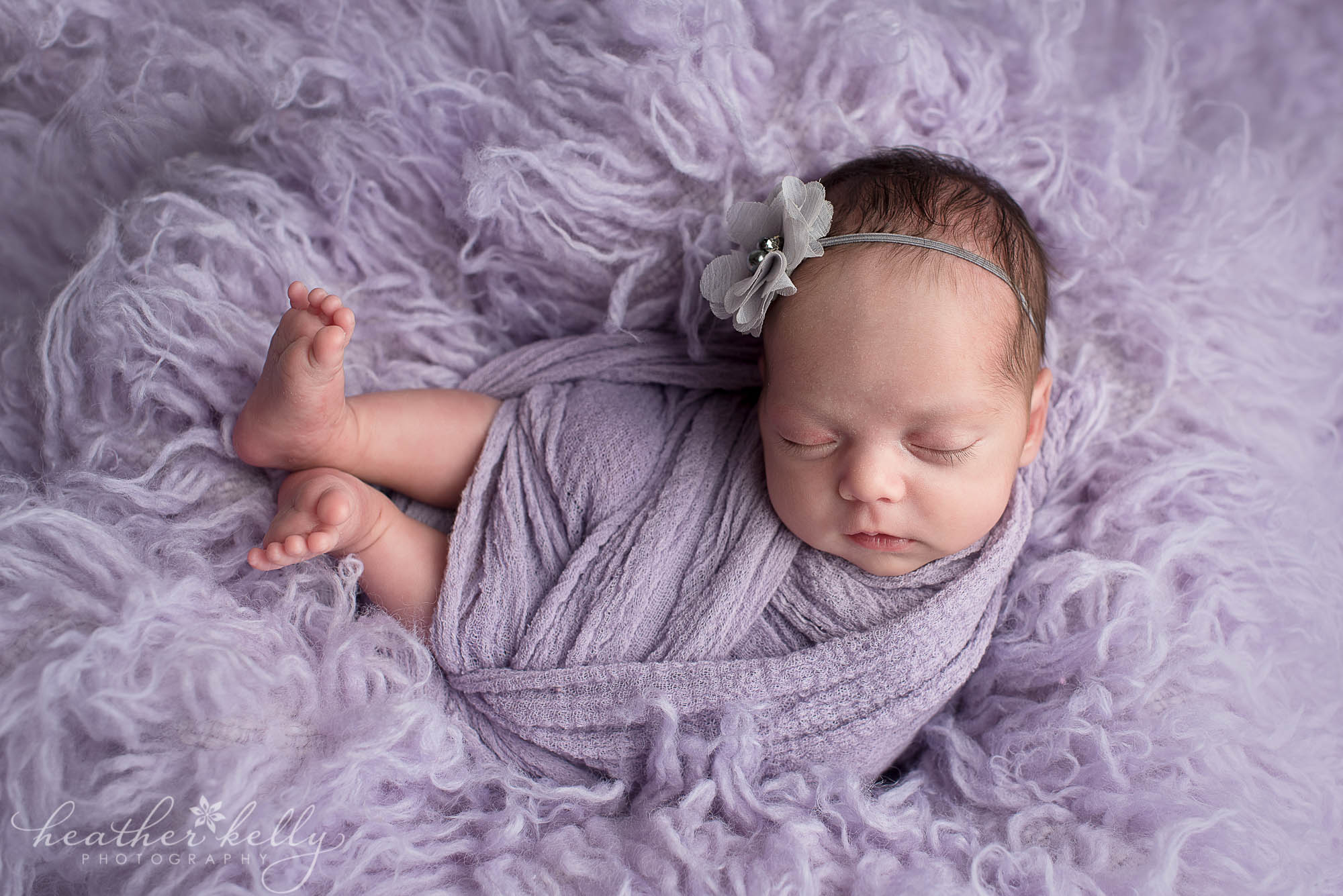 danbury newborn studio. baby girl lavender