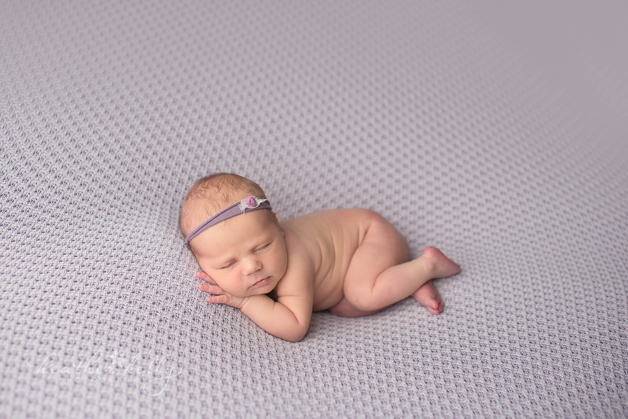 adorable newtown newborn photography ct. lavender