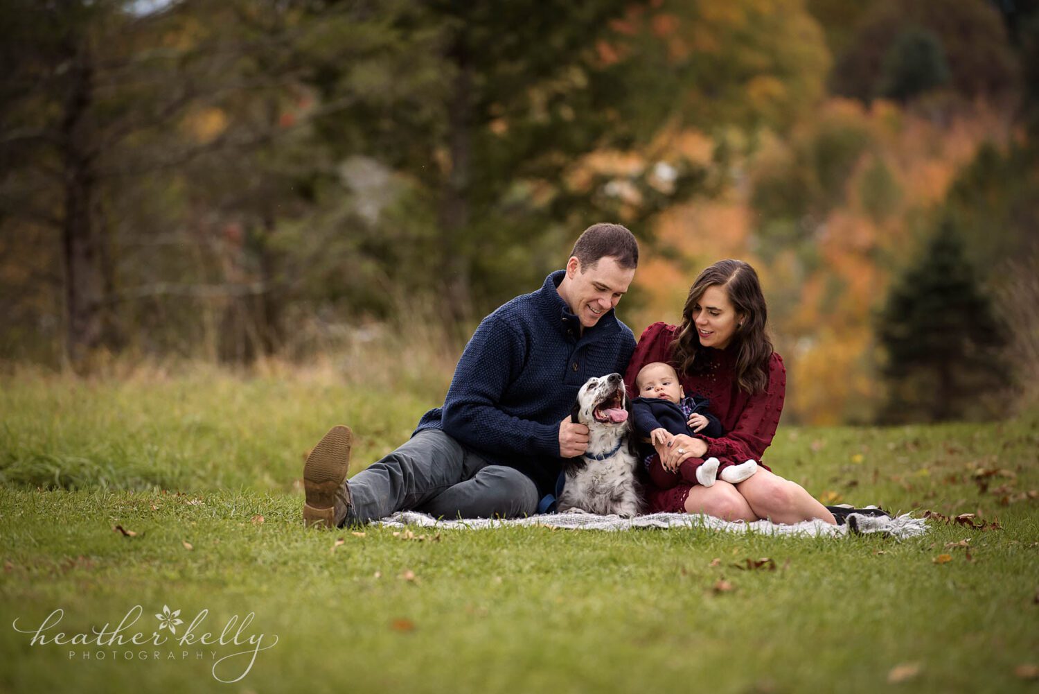 newtown ct family dog photography