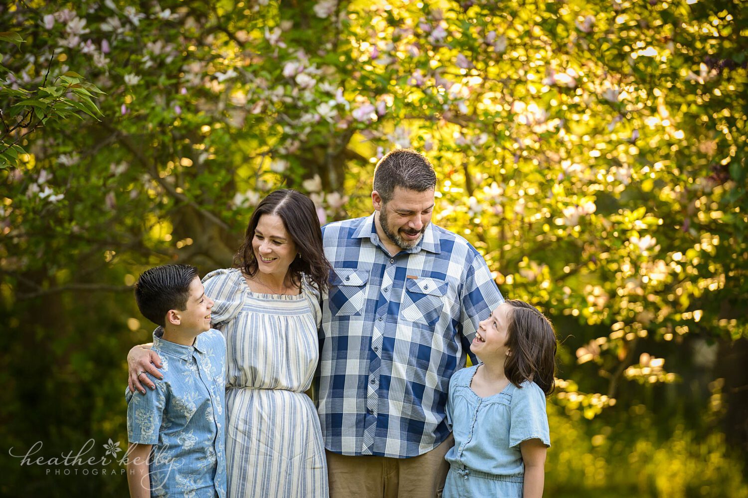 family of four looking at each other during their ct spring photography photo session. There is sunlight coming through a pretty blooming tree